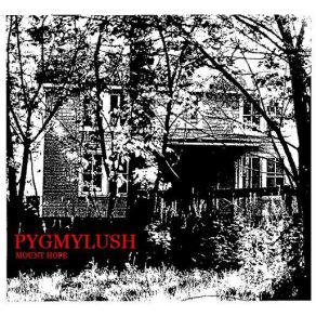 Download track God Condition Pygmy Lush