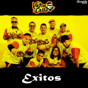 Download track El Cubo Los Vatos De La Calle