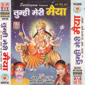 Download track Mandir Me Aane Wale Kumar Anand