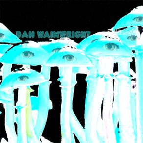 Download track Close To The Bone Dan Wainwright