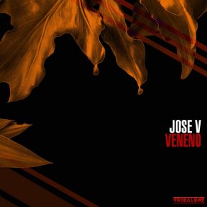 Download track Come Back Home Jose V