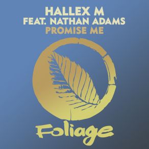 Download track Promise Me (Vocal Mix Edit) Nathan Adams