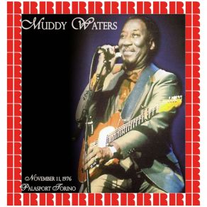 Download track J. P. 's Boogie Muddy Waters