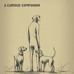 Download track Companion For The Soul Calming For Dogs