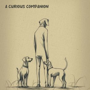 Download track Sweet Furry Confidant Calming For Dogs