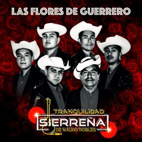 Download track 100% De Tierra Caliente Tranquilidad Sierreña De Mauro Robles