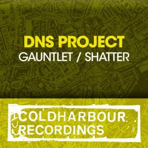 Download track Shatter (Original Mix) DNS Project