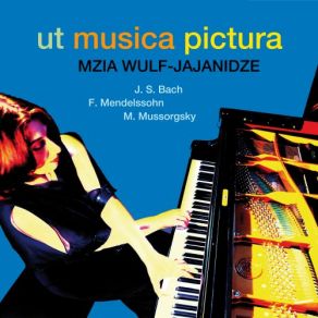 Download track Songs Without Words, Op. 30 No. 2 In B-Flat Minor, Allegro Di Molto Mzia Wulf-Jajanidze