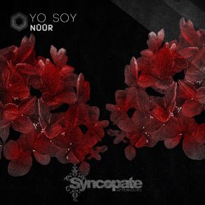 Download track Yo Soy (Original Mix) Nuur