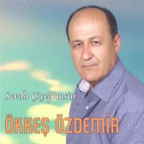 Download track Gel Dedinde Gelmedimi Ökkeş Özdemir