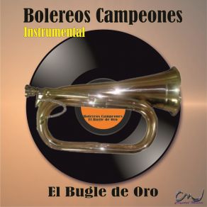 Download track Dile Que Por Mi No Tema (Instrumental) Carlos Orlando Ospina