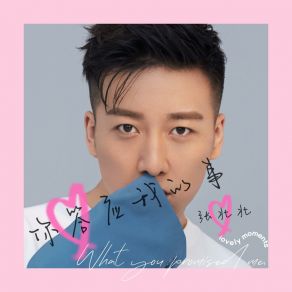 Download track 你答应我的事 (和声伴奏版) 张北北