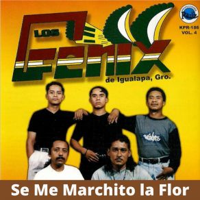 Download track Ahora Vete Mujer Los Fenix