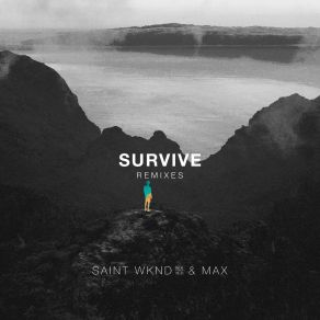 Download track Survive (PLS&TY Remix) Saint WkndMax