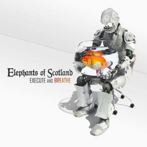 Download track A Different Machine Elephants Of Scotland