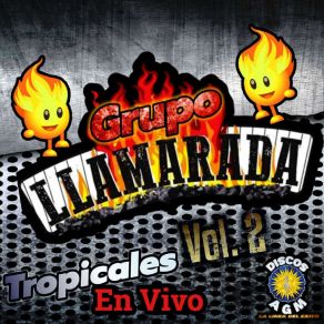 Download track Agarrados De La Mano Grupo Llamarada