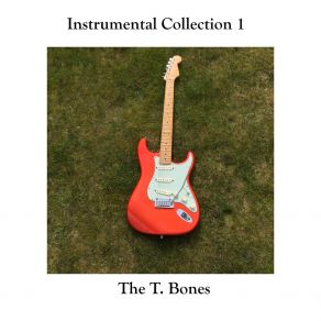 Download track Music Box Dancer The T - Bones