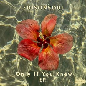 Download track Only If You Knew EdisonSoul