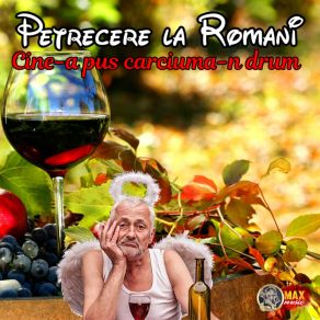 Download track Ferice De Cine Poate Petrecere La Romani