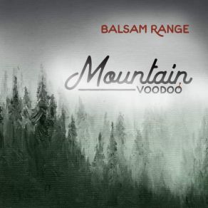 Download track Something 'Bout That Suitcase Balsam Range