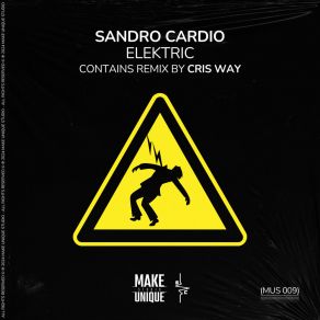 Download track Elektric (Original Mix) Sandro Cardio