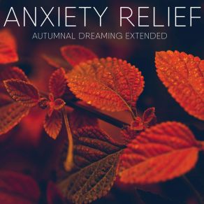 Download track In Search Of Calm Anxiety Relief