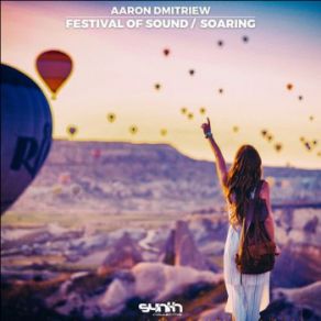 Download track Soaring Aaron Dmitriew