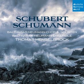 Download track Symphony No. 7 In B Minor, D. 759 Unfinished I. Allegro Moderato Balthasar Neumann Chor, Balthasar - Neumann - Ensemble, Thomas Hengelbrock