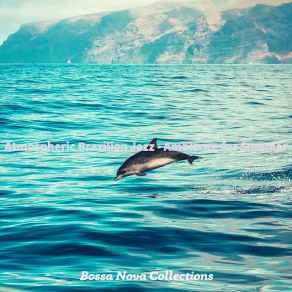 Download track Subtle Music For Vacations Bossa Nova Collections