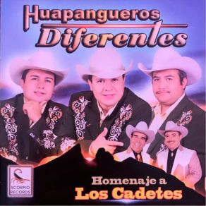 Download track Dos Vicios Huapangueros Diferentes Oficial