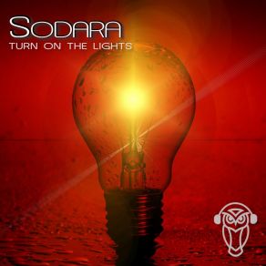 Download track Turn On The Lights Sodara (CH)