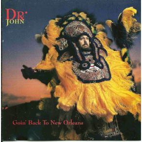 Download track Since I Fell For You Dr. John