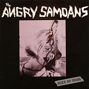 Download track You Stupid Asshole Angry Samoans