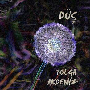 Download track Son Tolga Akdeniz