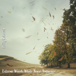 Download track Extreme Winds White Noise Ambience, Pt. 13 Steve Brassel