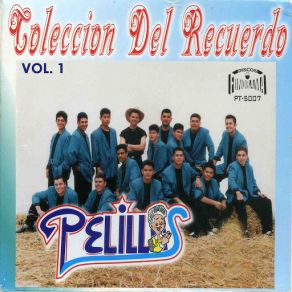 Download track La Chula Banda Pelillos