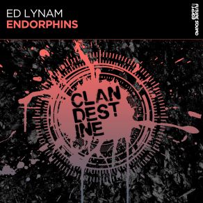 Download track Endorphins (Original Mix) Ed Lynam