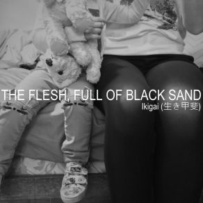 Download track Celestial Equator Coordinates For The Andromeda Galaxy The Flesh Full Of Black Sand