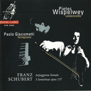 Download track 2. Sonata In A For Arpeggione Piano D. 821: II. Adagio Franz Schubert