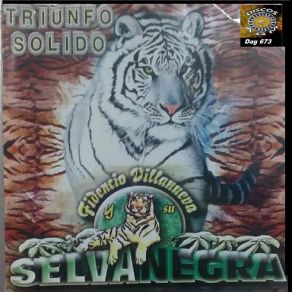 Download track La Cumbia De MI Negra Selva Negra