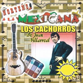 Download track El Complejo Los Cachorros De Juan Villarreal