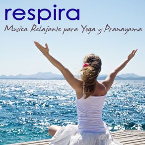 Download track Armonia (Musica Para Meditar) Relajacion Del Mar