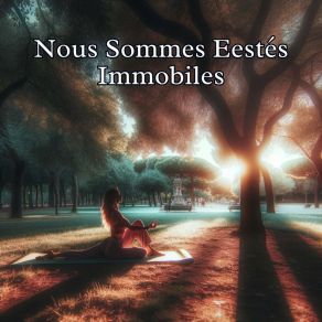 Download track Nous Sommes Restés Immobiles Yoga Music