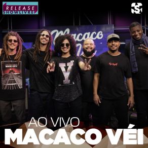 Download track Azul Da Paisagem (Ao Vivo) Macaco Véi