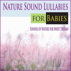 Download track White Noise Rainfall Lullaby The Kokorebee Sun