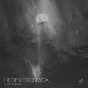 Download track Still Hidden Orchestra