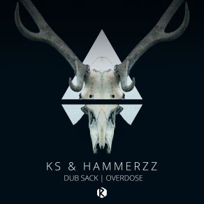 Download track Overdose KS And HammerZz