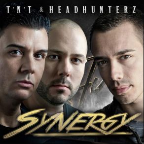 Download track Synergy (Radio Edit) TNT, Headhunterz