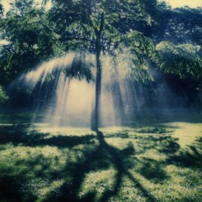 Download track Until The Moon Turns To Ashes And Birds Sing Backwards Benoît Pioulard