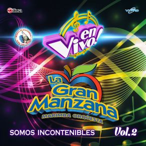 Download track Merengues 2019: Quien Te Quiere A Ti / Ni Tu Ni Ella (En Vivo) Marimba Orquesta La Gran Manzana